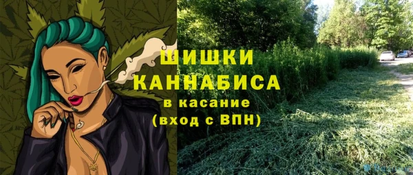 сатива Балахна