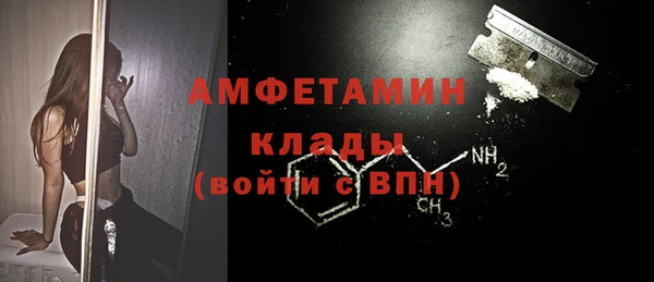 сатива Балахна