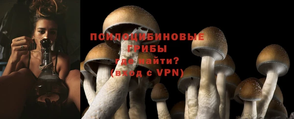 сатива Балахна
