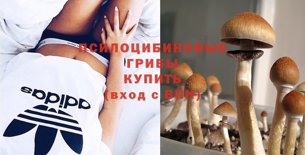 сатива Балахна